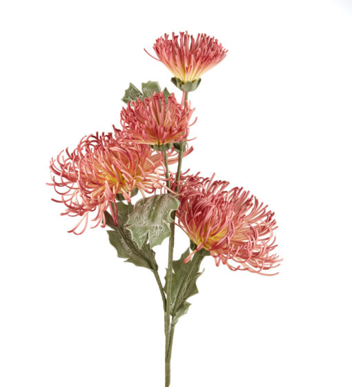 Fleurs artificielles - Telopea