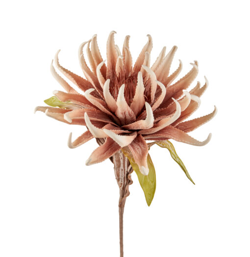 Fleurs artificielles - Dragon Claw